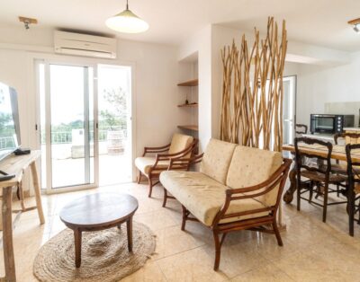 FENER DE DALT 86 – Belle maison avec vue spectaculaire